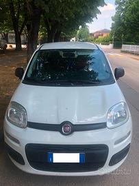 Panda metano