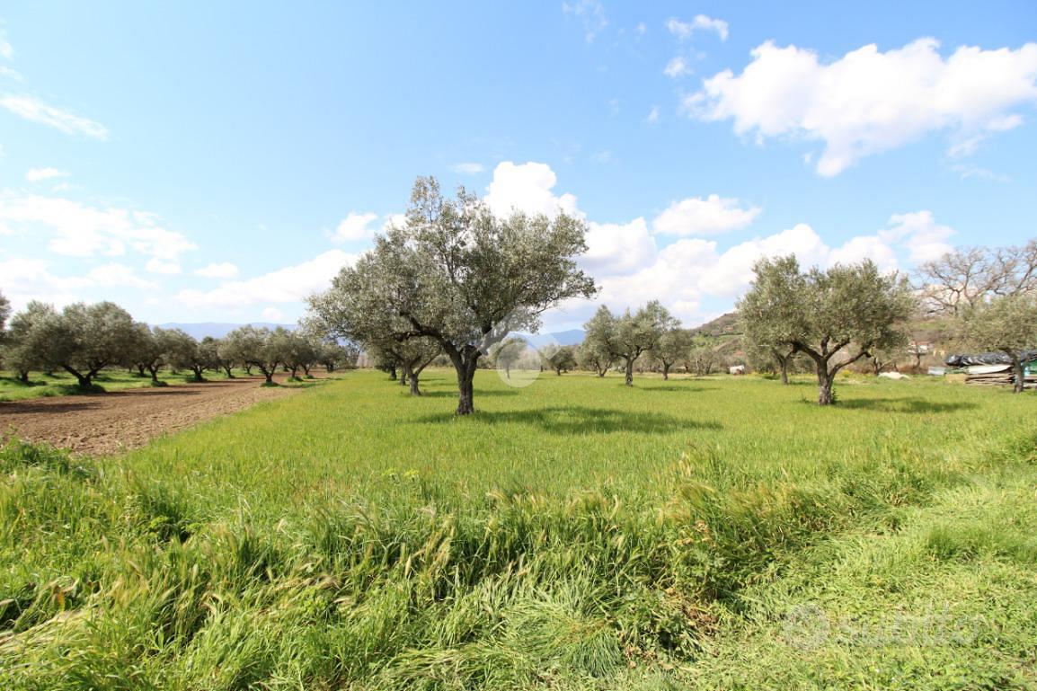 TER. RESIDENZIALE A MONTALTO UFFUGO - Vista 5