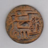 medaglia in bronzo per la Citta' di Gorizia