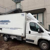 Ducato Furgone Frigo