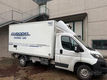 Ducato Furgone Temperatura controllata Anno 2023