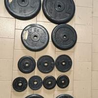 Pesi e manubri da palestra