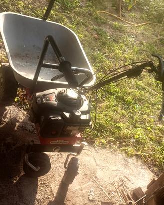Motocarriole