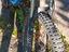 Immagine 2