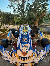 Rotax dd2 birel 