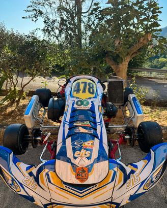 Rotax dd2 birel 