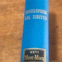 enciclopedia del diritto