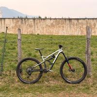Cannondale 29”