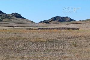 Terreno Agricolo Serrenti [A4353782]