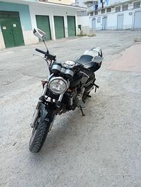 Moto Honda Hornet