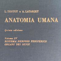Anatomia Umana vol 4 Testut Latarjet + Indice  An.