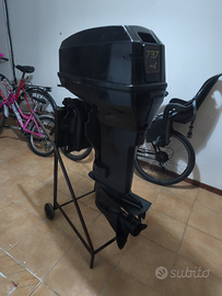 Motore fuoribordo 40 cv 737 cc