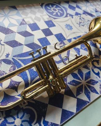 Tromba Professionale Selmer