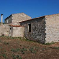 Bassacutena azienda agricola vendita