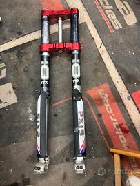 Forcelle shc +piastre per beta complete