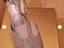 Immagine 5