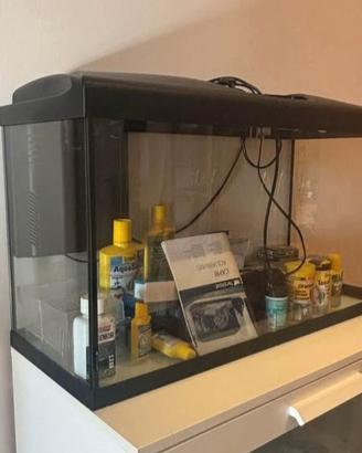 Acquario 