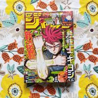 Weekly shonen jump 2024 N.30