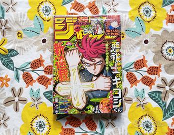 Weekly shonen jump 2024 N.30