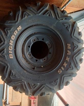 Cerchioni Polaris RZR 800