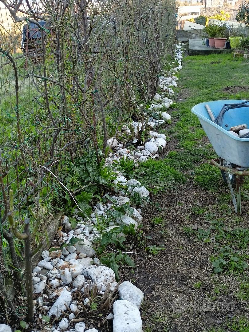 Sassolini bianchi decorativi aiuole e vialetti. - Giardino e Fai da te In  vendita a Vercelli