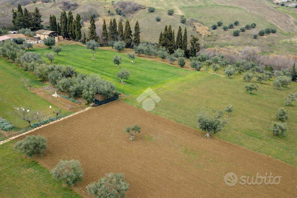 TERRENO A MORRO D'ORO - Altro
