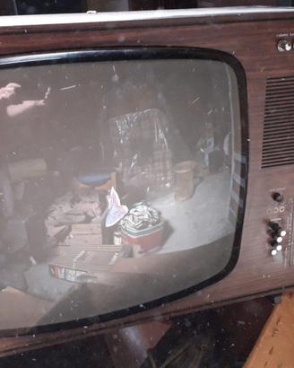 TV REX anni 70