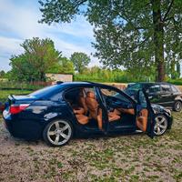 cerchi bmw e60 r19