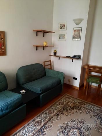 MONOLOCALE IN VIA MONGINEVRO: 365euro