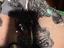 Immagine 6