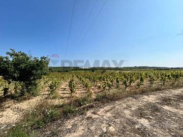 Terreno - Noto