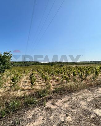 Terreno - Noto