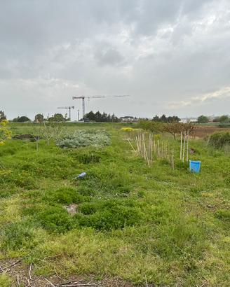 Terreno Agricolo