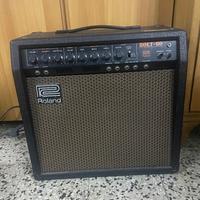 Amplificatore valvolare Roland Bolt 60