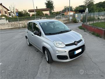 FIAT Panda 1.2 Easy UNICO PROPRIETARIO