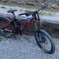 Bici Giant Glory DH