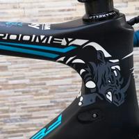 PINARELLO F8 DOGMA USATA