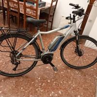Bicicletta a pedalata assistita LOMBARDO