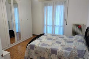 Bilocale arredato , ampio e terrazzo