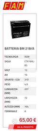 Fam batteria agm 16 Ah 310A nuova con garanzia 