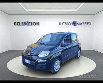 FIAT PANDA - Panda 1.2 Easy