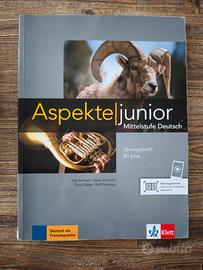 Aspekte junior Übingsbuch B1
