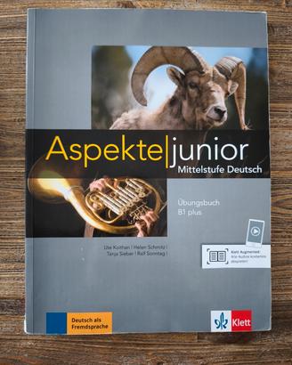 Aspekte junior Übingsbuch B1