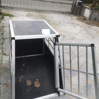 Gabbia per trasporto cane