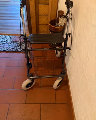 CARELLO DEAMBULATORIO SEMINUOVO