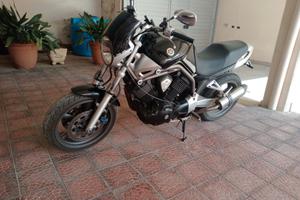 Yamaha bulldog bt 1100 iscritto FMI