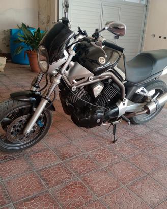 Yamaha bulldog bt 1100 iscritto FMI