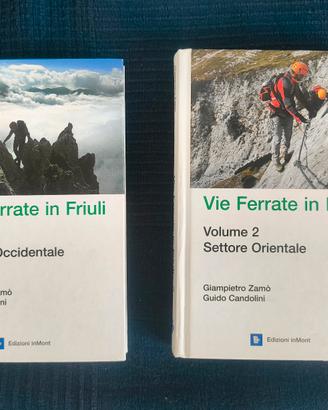 Guide vie ferrate in Friuli