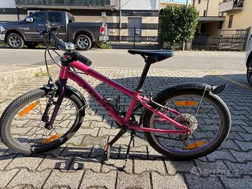 Trek da 20 pollici wahoo