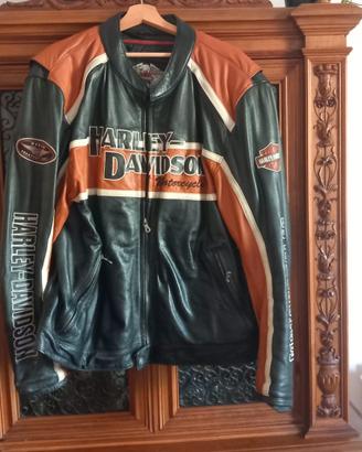 Giubbotto Pelle originale Harley Davidson - uomo